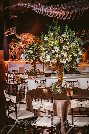 JIP-Vecchio-Wedding-462