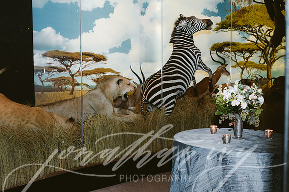 JIP-Vecchio-Wedding-314