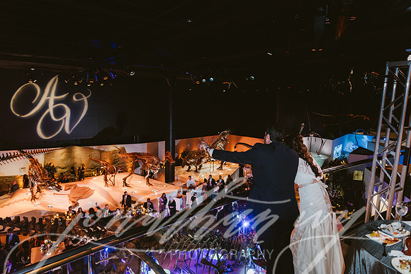 JIP-Vecchio-Wedding-465