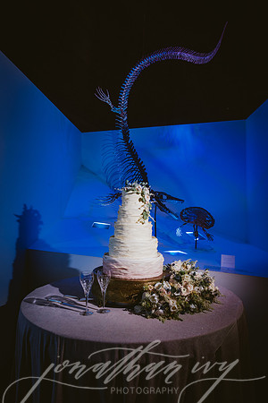 JIP-Vecchio-Wedding-442