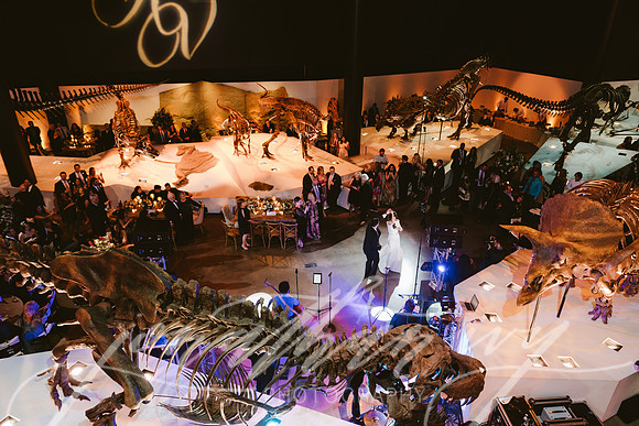 JIP-Vecchio-Wedding-484