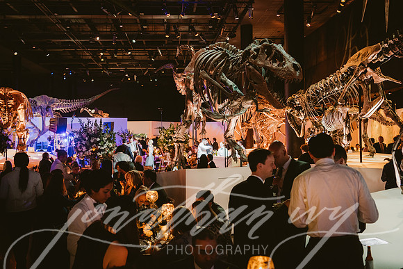 JIP-Vecchio-Wedding-570