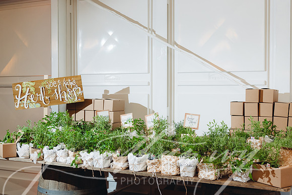 JIP-Lloyd-Wedding-342