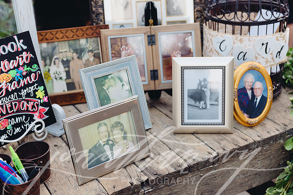 JIP-Lloyd-Wedding-390