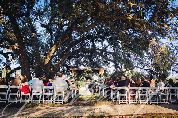JIP-Lloyd-Wedding-286