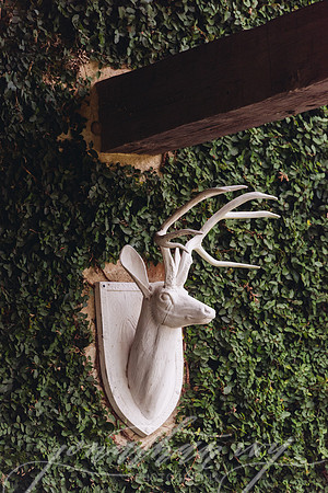 JIP-Lloyd-Wedding-029