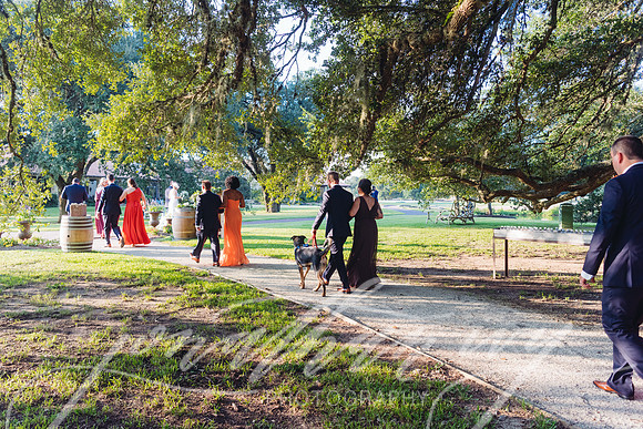 JIP-Lloyd-Wedding-314