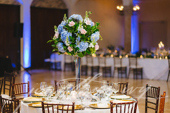 JIP-Johnson-Wedding-031519-412