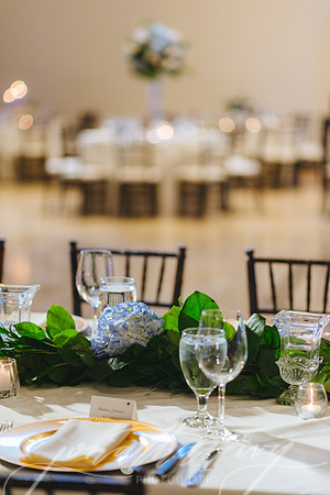 JIP-Johnson-Wedding-031519-410