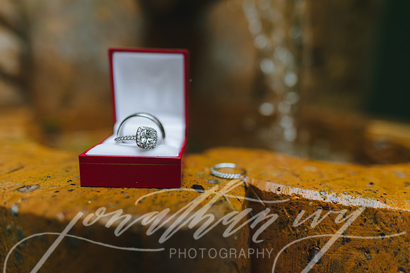 JIP-Johnson-Wedding-031519-008