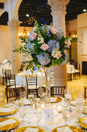 JIP-Johnson-Wedding-031519-420