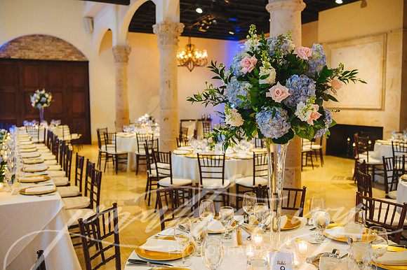 JIP-Johnson-Wedding-031519-419