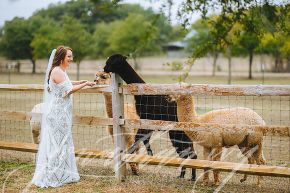 JIP-Staci-Bridal-CampyLucy-02