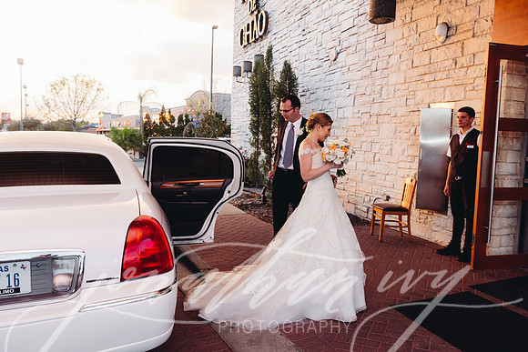 JIP-Sterba-Wedding2-248