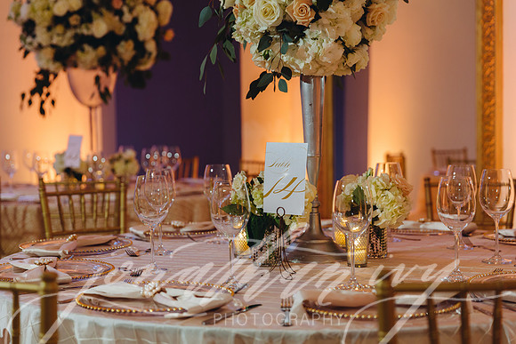 JIP-Chapman-Wedding-346