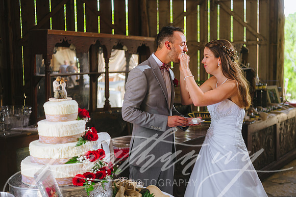 JIP-Brianna-Gunner-Day-Wedding-420