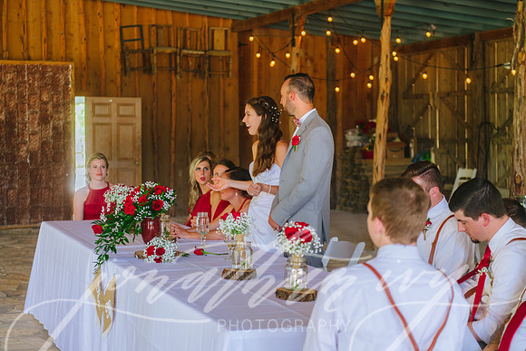 JIP-Brianna-Gunner-Day-Wedding-383