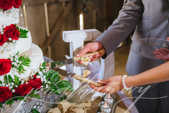 JIP-Brianna-Gunner-Day-Wedding-413