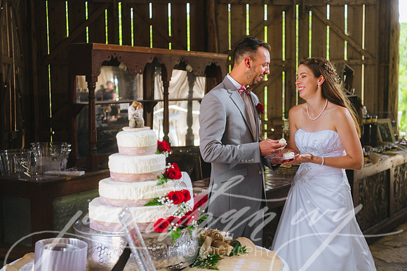 JIP-Brianna-Gunner-Day-Wedding-417