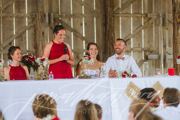 JIP-Brianna-Gunner-Day-Wedding-394