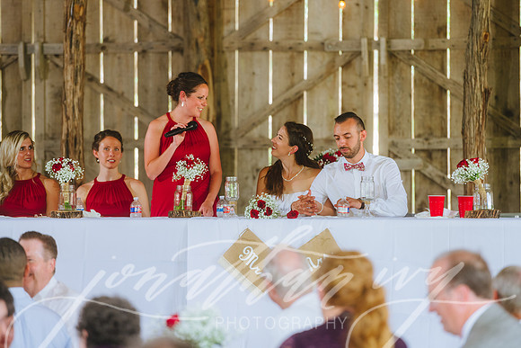 JIP-Brianna-Gunner-Day-Wedding-393