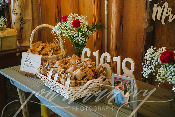 JIP-Brianna-Gunner-Day-Wedding-349