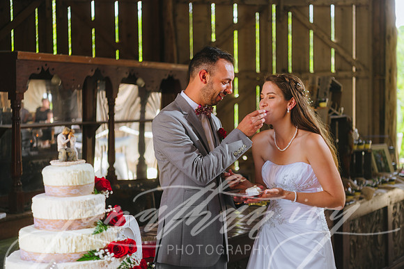 JIP-Brianna-Gunner-Day-Wedding-419