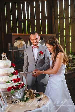 JIP-Brianna-Gunner-Day-Wedding-412
