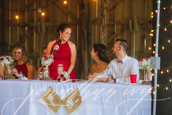 JIP-Brianna-Gunner-Day-Wedding-396