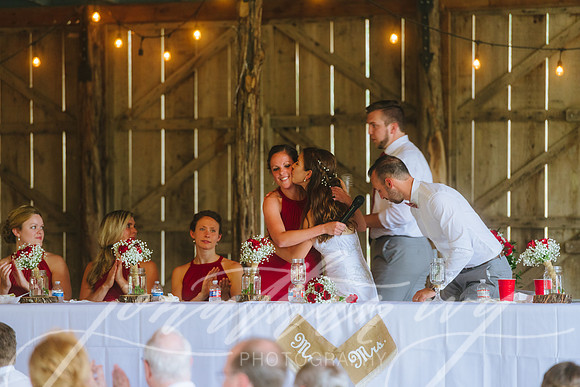 JIP-Brianna-Gunner-Day-Wedding-398