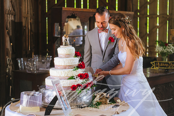 JIP-Brianna-Gunner-Day-Wedding-410