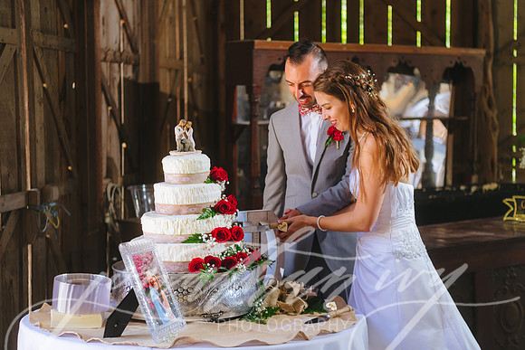 JIP-Brianna-Gunner-Day-Wedding-409