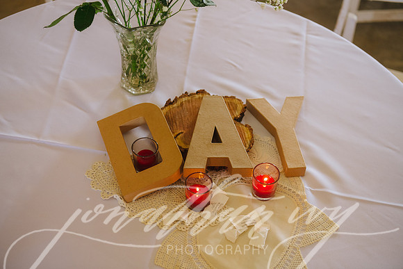 JIP-Brianna-Gunner-Day-Wedding-329