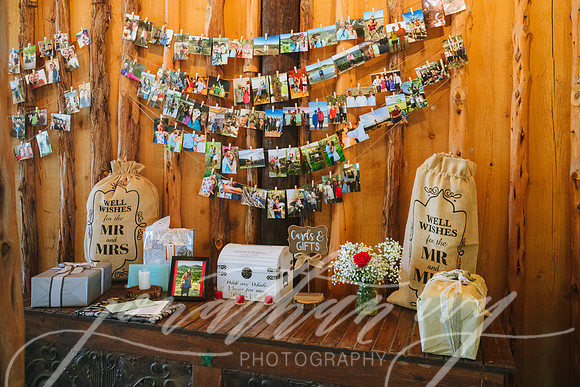 JIP-Brianna-Gunner-Day-Wedding-351