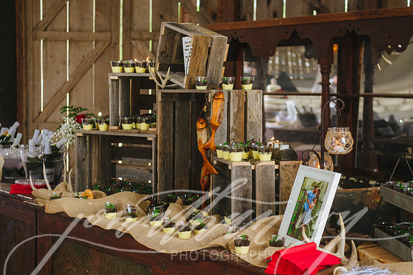 JIP-Brianna-Gunner-Day-Wedding-339