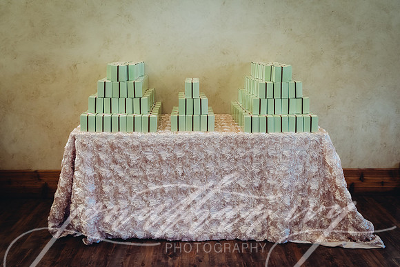JIP-Lennon-Wedding-433