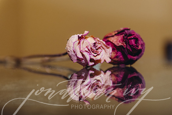JIP-Lennon-Wedding-553
