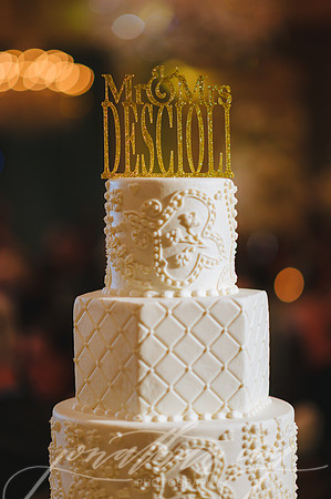 JIP-DeScioli-Wedding-020219-417