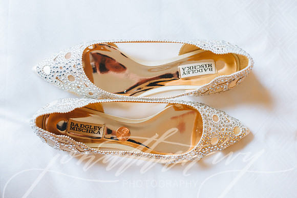 JIP-DeScioli-Wedding-020219-014