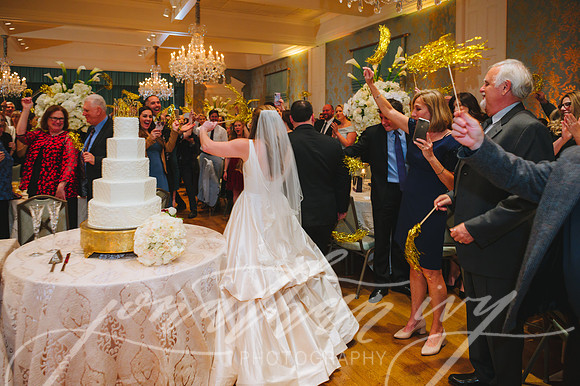 JIP-DeScioli-Wedding-020219-401