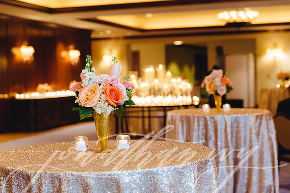 JIP-Selwyn-Wedding-378