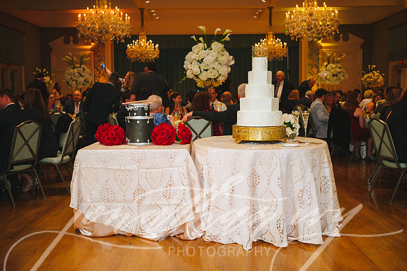 JIP-DeScioli-Wedding-020219-423