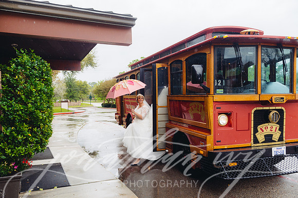 JIP-Selwyn-Wedding-137