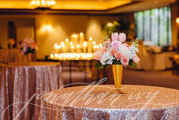 JIP-Selwyn-Wedding-366