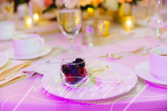 JIP-Selwyn-Wedding-552