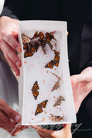 JIP-Cottrell-Wedding-353