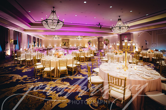 JIP-Selwyn-Wedding-396