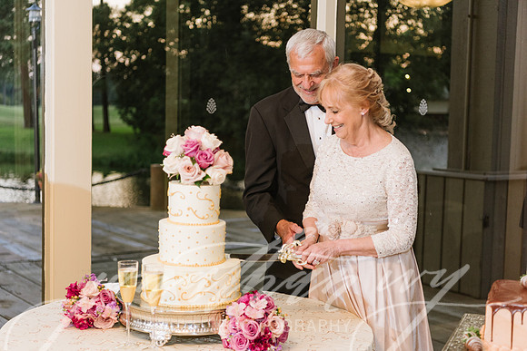 JIP-Ross-Wedding-090917-271