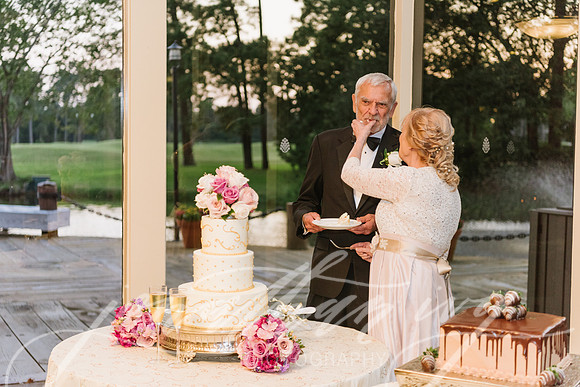 JIP-Ross-Wedding-090917-276