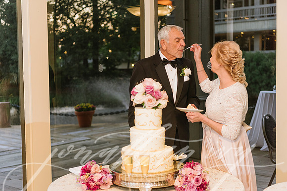 JIP-Ross-Wedding-090917-274